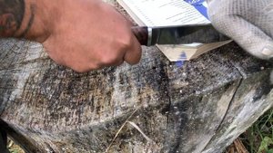 ТЕСТИРУЕМ И РЕКОМЕНДУЕМ НОЖИ ИЗ КОВАНОЙ СТАЛИ х12мф