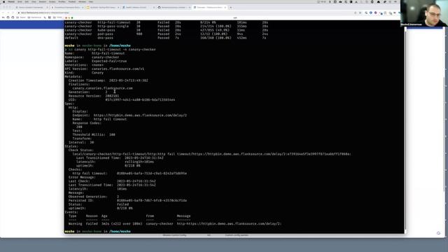 Synthetic Testing with Canary Checker смотреть онлайн