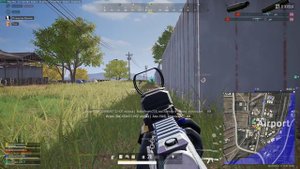 Миньены в ПАБГ