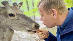Абсолютно РУЧНОЙ ОЛЕНЬ и удивительное по красоте озеро с парящими над вами грифами!