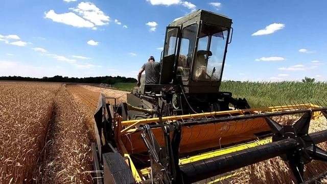 Уборка урожая 2022 набирает свои обороты! Яровой ячмень и многое другое.
