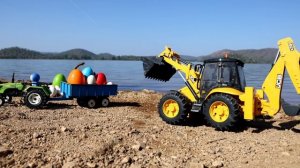 Перевозим семью змей на новое место