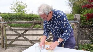 HOW TO CREATE A MINI ANNUAL WILDFLOWER MEADOW GARDEN