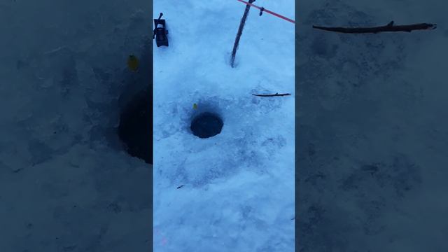 ЛЕНОК ЗА "10" СЕКУНД смотреть онлайн