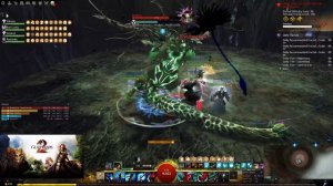 Guild Wars 2 T4 Nightmare DPS Vindicator POV