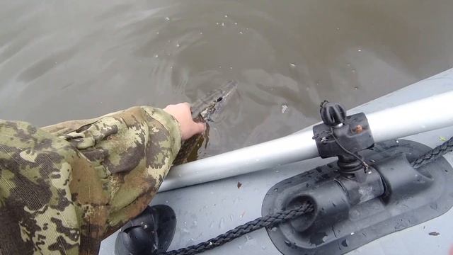 Рыбалка просто СКАЗКА!Попал на ЖОР Щуки!Утопил спиннинг.Рыбалка на спиннинг в Сентябре 2022. смотреть онлайн