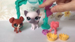 LPS/распаковка, обзор новинок 2017 . Сравнение старой и новой коллекции LPS.