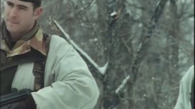 Survival is Not Enough - Zarephath-Horeb '82 смотреть онлайн