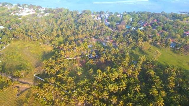 West Java, Indonesia: A Journey through Nature's Wonders #westjava #indonesia #nature смотреть онлайн