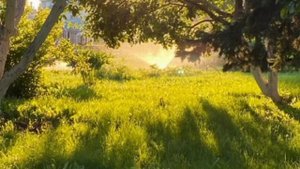 После развода, муж сразу же побежал к первой своей любви, но увидев её оторопел...