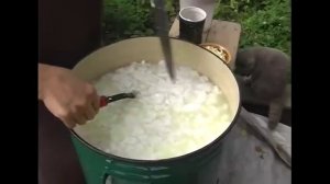 Домашний сыр с чесноком и базиликом.