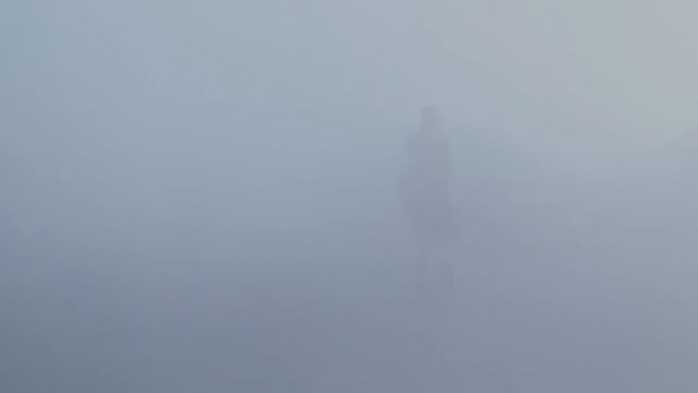 Самые Страшные Насекомые и Пауки из Фильмов смотреть онлайн