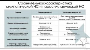 СИМПАТИЧЕСКАЯ и ПАРАСИМПАТИЧЕСКАЯ нервная система