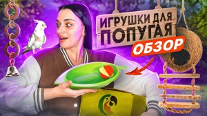 ОБЗОР ИГРУШЕК ДЛЯ ПОПУГАЯ