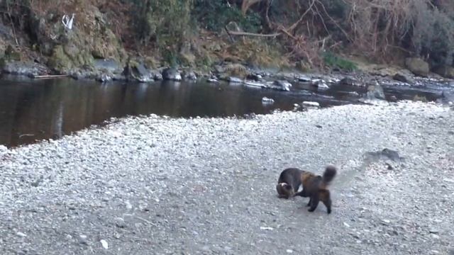 Skipping stones game❣️??／물수제비 뜨기 게임/石飛ゲーム смотреть онлайн