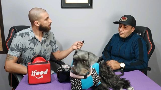 Conheçam a Ruby a moto dog!!!