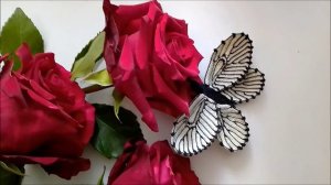 Анонс мастер-класса по вязанию бабочек белянок из серии "Метаморфозы"