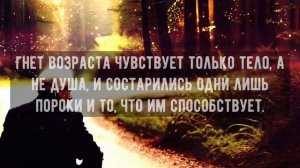 Правдивые Цитаты о Старости и возрасте, которые трогают До Глубины души!