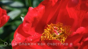 О КАК БЛАЖЕН КАК СЧАСТЛИВ Я  | Фонограмма Минус  |  Христианские песни |