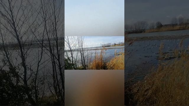 Деградация людей из-за алкоголя