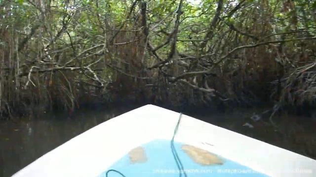 На лодке по реке Бентота (Bentota boat trip) смотреть онлайн