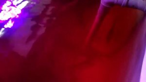 Строительство УЗВ для клариевого сома ч.4