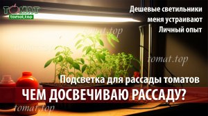 Подсветка для рассады томатов. Чем досвечиваю рассаду? Меня устраивают дешевые светильники