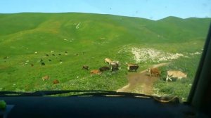 Абхазия 2015 поездка на  Альпийские луга