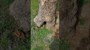 Иван Никитин.Поле.