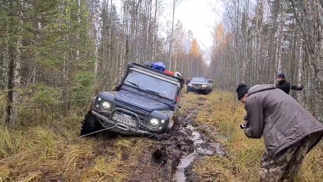 Вологодские болота. Маршрут на Воломы.