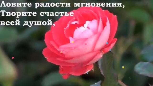 с днем рождения, Марина Александровна!!!