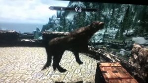 Skyrim Barbas Glitch