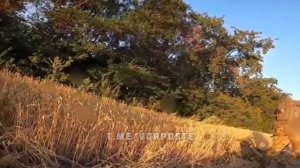 Чешские боевики ВСУ прячутся в ,,зелёнке,,