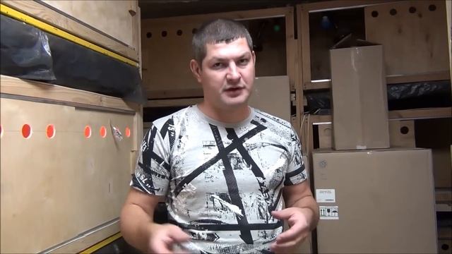 Как определить пол у цыплят 100% способ, курочка или петушок