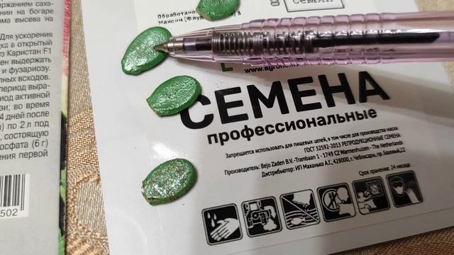 За сутки! Самое быстрое Проращивание семян Арбуза на рассаду. Уже Пора!!! смотреть онлайн