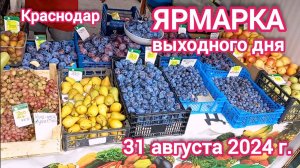 Краснодар - Ярмарка выходного дня на ул. Одесской - цены на продукты - 31 августа 2024 г.