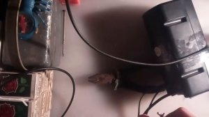 Проверка компьютерных колонок