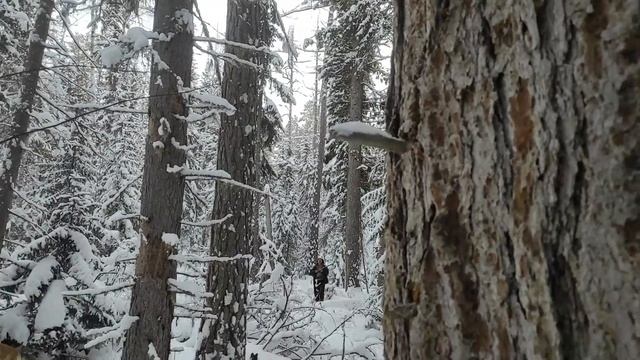 10 дней в тайге зимой на охоте в Сибири 7 день смотреть онлайн