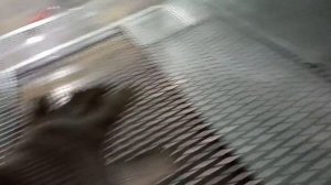 Брудер своими руками для индюшат, цыплят из оцинковки