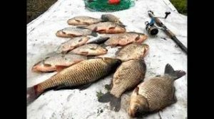 Удачная Рыбалка  Большой Сунгуль!.