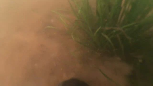 Ловля раков на Волге смотреть онлайн