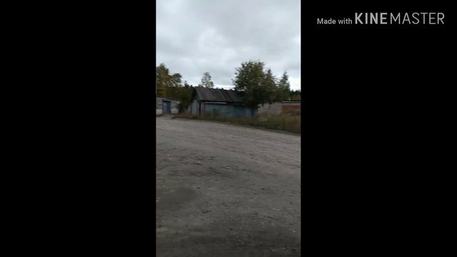 Побег от собаки смотреть онлайн