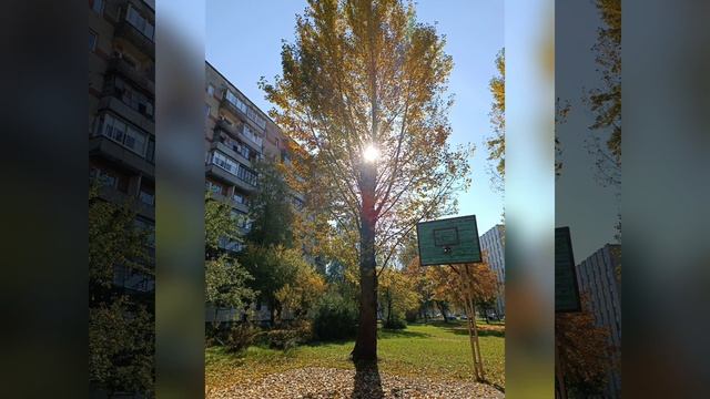 Сессия-медитация• Разговор С Высшим Я•Благословения роду