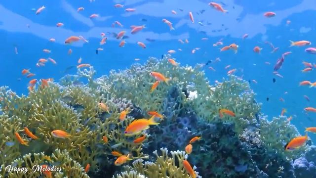 Нежная музыка и успокаивает нервную систему - лечебная музыка для сердца и радует душу #19 смотреть онлайн