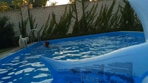 Я стала Русалкой