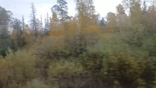 Электричка: Шаля - Екатеринбург. смотреть онлайн