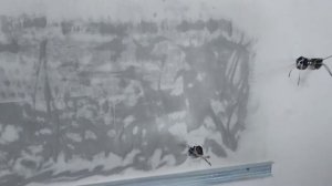 Как быстро выложить фартук на кухне