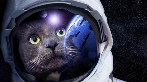 С ДНЁМ КОСМОНАВТИКИ???МУЗЫКАЛЬНАЯ ВИДЕО ОТКРЫТКА!
