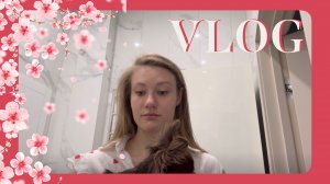 VLOG 14.03.2024 Тедди спугнул грабителя! Я в шоке😨