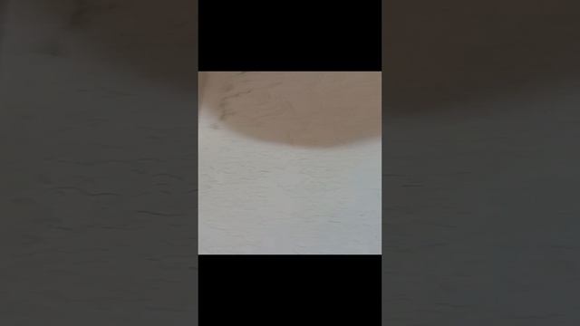 декоративное покрытие.  микроцемент